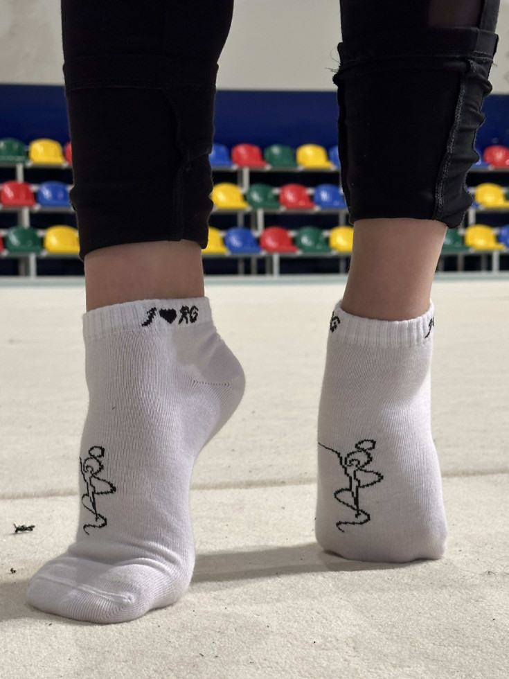 Шкарпетки STEP RG