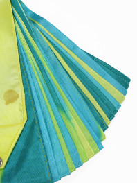 Стрічка Chacott Градація (233) Leaf Green