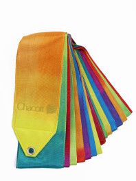 Стрічка Chacott Градація (796) Rainbow