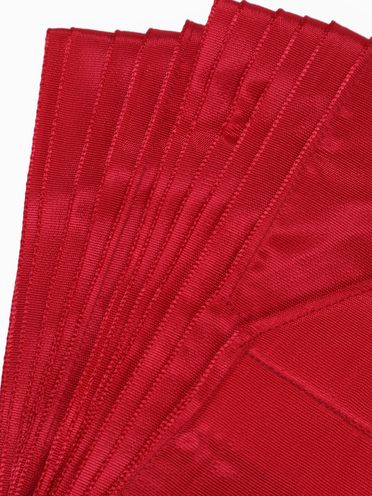 Стрічка Sasaki МJ-714 Red (R)